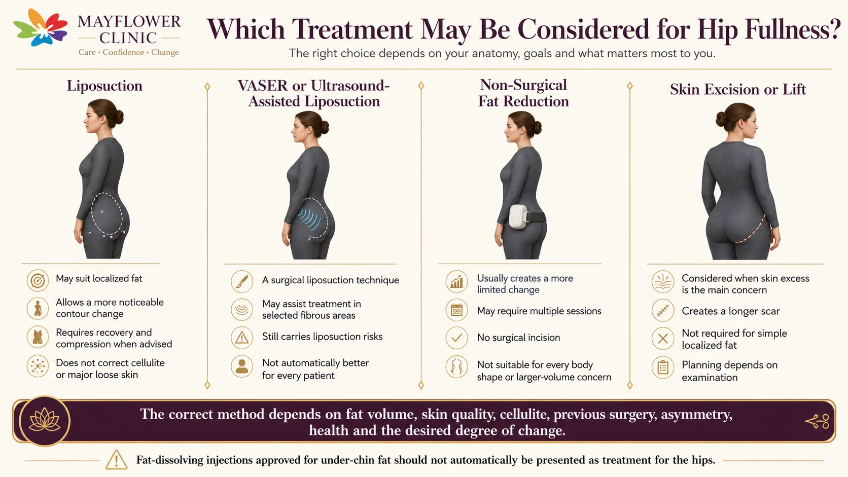 Comparison of liposuction, VASER-assisted liposuction, non-surgical fat reduction and skin-excision approaches for hip fullness