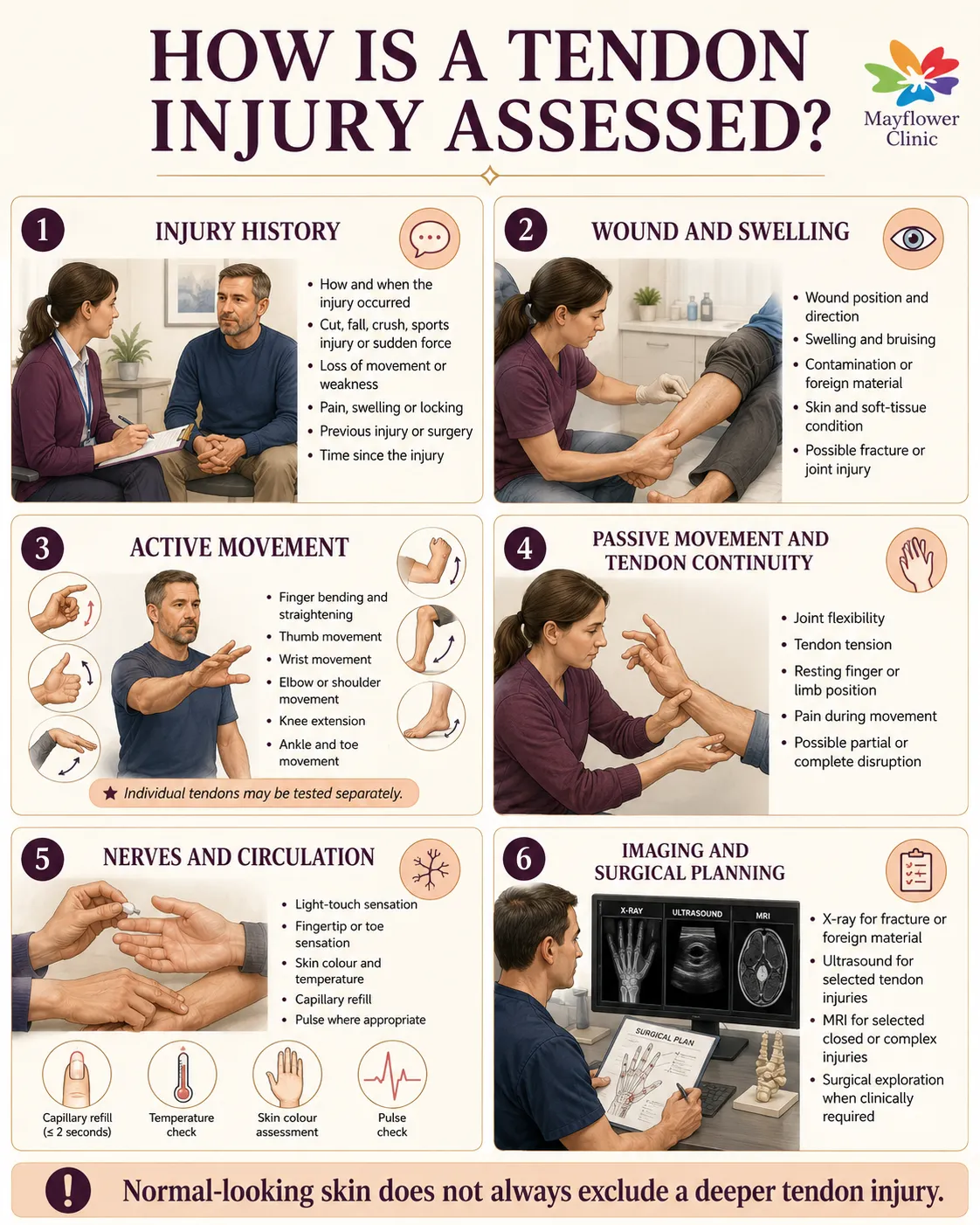 Clinical assessment infographic for tendon injury showing history wound swelling active movement isolated testing nerves circulation and imaging
